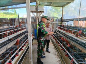 Tingkatkan Ekonomi Rakyat, Babinsa Melaksanakan Komsos dengan Peternak Ayam Petelur