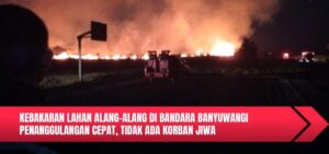 Kebakaran Lahan Alang-alang di Bandara Banyuwangi Penanggulangan Cepat, Tidak Ada Korban Jiwa