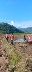 Dukung Ketahanan Pangan, Babinsa Dampingi Petani Bajak Sawah