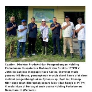 Inovasi PTPN Group Wujudkan Perkebunan Kelapa Sawit Berkelanjutan