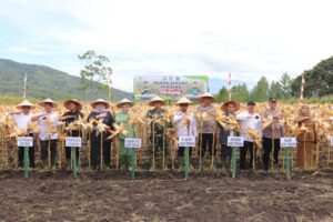 Sukseskan Program Ketahanan, Kodim 0106/ Ateng Panen I’M Jagong