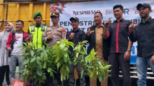 Koperasi Produsen Bahtera Salurkan Puluhan Ribu Bibit Unggul Untuk Petani Kopi