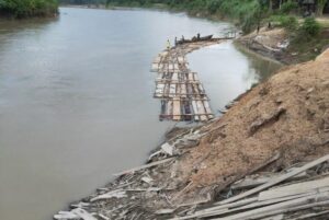 Bahan Baku Kilang Kayu Di Lebuk Pusaka Kecamatan Langkahan,Diduga Berasal Dari Kabupaten Bener Meriah.