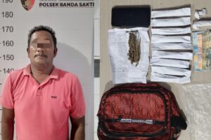 Polisi Ciduk Tersangka Narkotika di Lhokseumawe dan Amankan 12 Paket Ganja