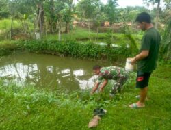 Babinsa Koramil 11/Brb Kunjungi Peternak pembesaran Ikan Lele Di Sela-Sela Komsosnya.