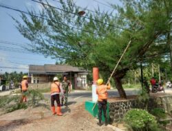 Bersama Petugas PLN KOPTU Siswandi Bersihkan Ranting Dekat Kabel Listrik Demi Keamanan