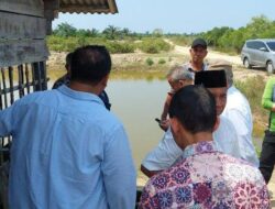 Pemerintah Korea Selatan Tertarik Merawat Mangrove di Aceh Tamiang