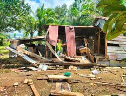 Satu Unit Rumah Kayu milik Warga Diamuk Gajah Liar