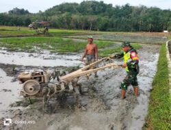 Senyum Bahagia Pak Hamidi Ketika Koptu Edi Syahputra turun Tanggan Membantunya Membajak Sawah