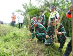 Cegah Terjadinya Longsor, Dandim 0117/Aceh Tamiang Bersama Forkopimda Tanam Vetiver