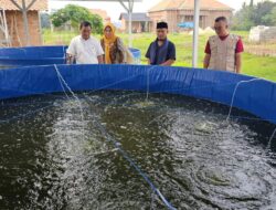 Bacagub Hanan Serahkan Bantuan Bioflok di Pondok Pesantren Darul Huda, Kota Gajah, Lampung Tengah