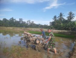 Sertu Firmansyah Sinaga Bantu Petani Bajak Sawah Dengan Hand Traktor