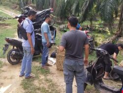 Tim Opsnal Sat Reskrim Polres Langsa Dan Unit Reskrim Polsek Langsa Timur Gerebek Tempat Sabung Ayam