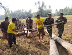 Koramil 08/Rantau Gotong Royong Rehab Jembatan Akses Pertanian Di Desa Jamur Jelatang