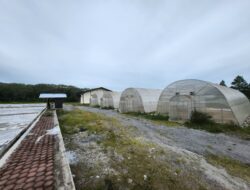 Green House / Penjemuran Kopi Dinas Pertanian Bener Meriah di Duga Tak Terurus