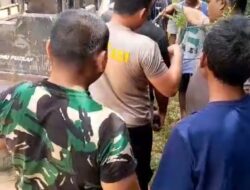 DPO Pencurian Lembu Kandas Ditangan Personil Polsek Silangkitang Dan Bhabinsa