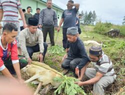 Kodim 0119/BM Sembelih Empat Ekor Hewan Qurban