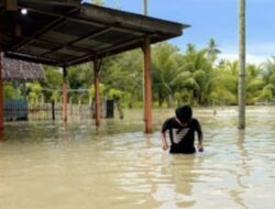 Bireuen Berduka Akibat Banjir Bandeng Ratusan KK D/s Cot Nga Mengungsi Dapur Umum didirikan