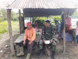 Babinsa Silaturahmi Bersama Petani Cabe