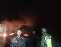 TNI-Polri Bersama Petugas Damkar Padamkan Dua Hektar Lahan Kosong