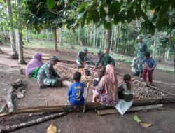 Di Desa Terpencil, Satgas TMMD Bersama Warga Panen Buah Pinang