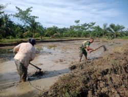 Gunakan Cangkul, Babinsa Koramil 04/Bendahara Bantu Petani Olah Lahan