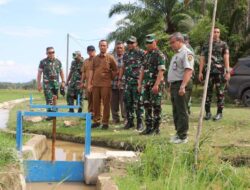 Kasdam IM Tinjau Hasil Optimasi Lahan Rawa di Wilayah Kodim 0104/Aceh Timur