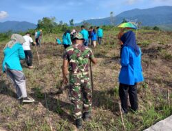 Satgas TMMD Kodim 0119/BM, Wujudkan Ketahanan Pangan Bersama Mahasiswa.