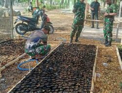 Tentara Menyatu Dengan Alam, Kodim 0802/Ponorogo Buat Pembenihan dan Pembibitan