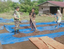 Babinsa Koramil 04/PRG Komsos, Dengarkan Keluh Kesah Petani Kopi