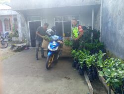 Sambangi Petani Kopi, Babinsa 02/Wps Berikan Motivasi