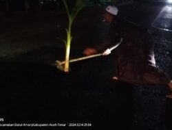 Beberapa warga masyarakat dan angota satgasus BAI menanam pohon pisang di jalan Medan Banda aceh