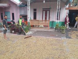 Musim Panen Telah Tiba, Babinsa Bantu Warga Jemur Kopi