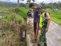 Dukung Ketahan Pangan, Babinsa Secara Rutin inspeksi Pertumbuhan Padi