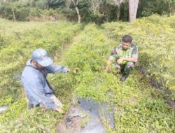 Peran Aktif Babinsa Dalam Mensukseskan Ketahanan Pangan