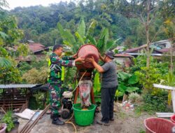 Sambangi Petani Kopi Arabika Gayo, Babinsa Bantu Proses Penggilingan
