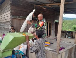 Bantu Rontokan Jagung, Upaya Babinsa Dalam Mewujudkan Swasembada Pangan