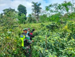 Wujud Kepedulian Babinsa Koramil 08/SN, Dalam Mewujudkan Kemanunggalan TNI dengan Rakyat .