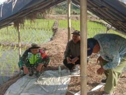 Wujud Kepedulian Babinsa Dalam Mewujudkan Kemanunggalan TNI dengan  Rakyat di Desa Pantan Bener 