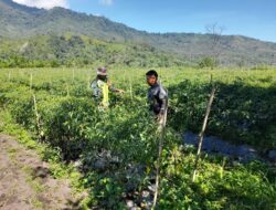 Babinsa Koramil 08/SN Melaksanakan Kegiatan Hanpangan Dengan Masyarakat di Desa Jerata 