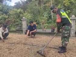 Babinsa Koramil 08/SN Berikan Motivasi Kepada Petani Kopi