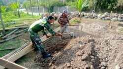 Babinsa Koramil 08/SN Sinergi Bantu Bangun Rumah Warga 