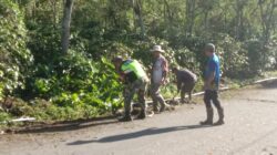 Peduli Lingkungan, Babinsa Bersama Warga Bersihkan Rumput Kanan Kiri Jalan