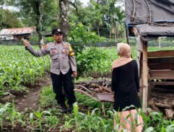 Polisi Cinta Petani: Polres Bener Meriah Dukung Ketahanan Pangan Bergizi