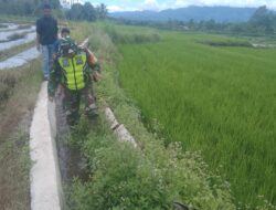 Dukung Ketahan Pangan, Babinsa Dan Warga Tinju Kelancaran Sumber Air Irigasi