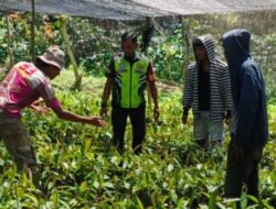 Lestarikan Lingkungan, Babinsa Ajak Warga Tanam Pohon Keras