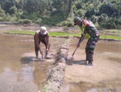 Babinsa Koramil 01/Bandar Bersama Warga Siapkan Lahan Padi