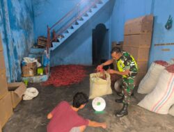 Monitoring Pasokan Dan Harga, Babinsa Sambangi Gudang Pengepul Cabai