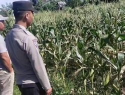 Polres Bener Meriah Bekerja Sama Dengan Masyarakat Wujudkan Program Ketahanan Pangan