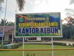 Terkait Pemberitaan Adanya Dugaan Penggelapan Pupuk di Kebun Tualang Sawit, Ini Penjelasannya